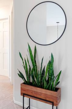 there is a plant in a wooden pot on the side of the wall next to a mirror