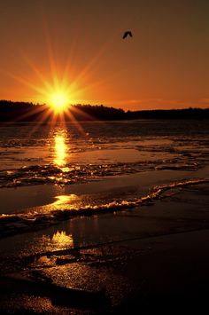 the sun is setting over some water and ice on the beach with birds flying in the distance