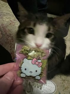 a cat is holding up a hello kitty snack