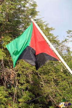 a flag flying in the air next to some trees