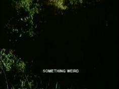 the words something weird are written in white on a black background with trees and grass