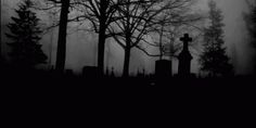 black and white photograph of cemetery with trees in foggy area, dark sky above