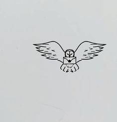 an owl flying in the sky with its wings spread