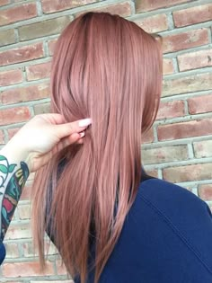 Dye Eyelashes, Rose Gold Hair Brunette, Rose Gold Hair Color, Gold Hair Color, Colored Hairstyles, Eyelashes And Eyebrows