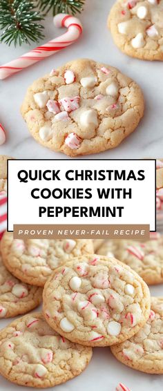 Image for Quick Christmas Cookies with Peppermint Quick Christmas Cookies, Cookies With Peppermint, Festive Christmas Cookies, Peppermint Christmas Cookies, Mmm Cookies, Peppermint Cookie Recipe, Xmas Cookies Recipes, Christmas Cookies Kids, Clematis Varieties