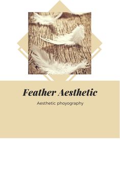 the cover for feather aesthetic, with two white feathers sitting on top of each other