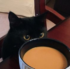 a black cat sitting next to a cup of coffee