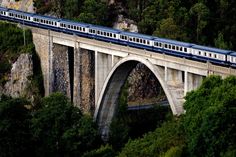 a blue and white train traveling over a bridge in the middle of trees on both sides