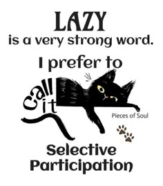 a black cat with the caption lazy is a very strong word i prefer to call it selective particition