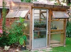 a small garden shed in the yard with plants growing inside it and an open door