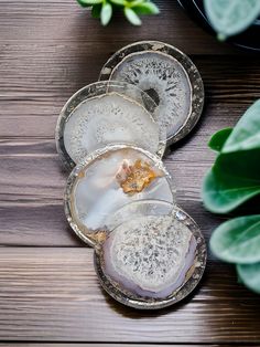 three oysters sitting on top of a wooden table next to green leaves and a potted plant