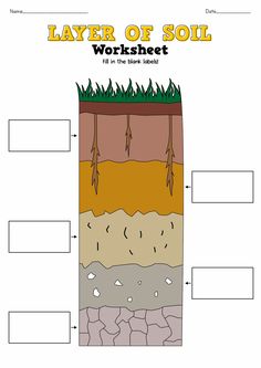 the layers of soil worksheet for kids to practice their science work on earth