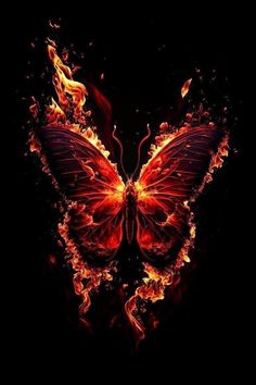 a butterfly that is on fire in the dark