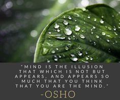 a green leaf with water droplets on it and the quote,'mind is the illusion that which is not but appears, and appears so much that you think