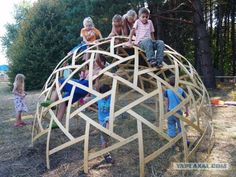 children playing on a wooden structure in the woods