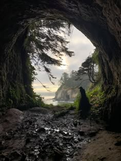 a dog is sitting in the middle of a cave looking out at the water and trees