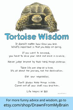 a tortoise is shown with the words, it doesn't matter how you are