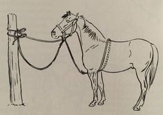 a drawing of a horse tied to a post