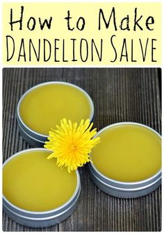 How to Make Dandelion Salve Natural Medicine Cabinet, Salve Recipes, Herbal Salves, Dandelion Recipes