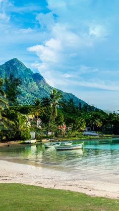 there are boats that are sitting in the water on the beach near some trees and mountains