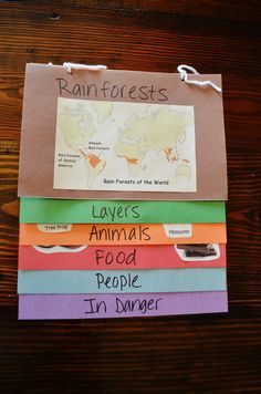 four books stacked on top of each other with the words rainforests written on them