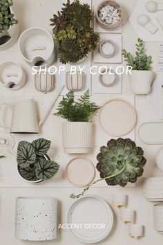 a table topped with lots of potted plants next to white plates and cups on top of each other