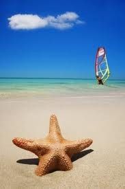 a starfish laying on the beach with a kite in the sky above it and a person parasailing in the background