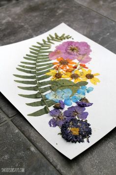 an art project with pressed flowers and leaves