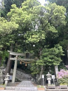 an entrance to a shrine surrounded by trees