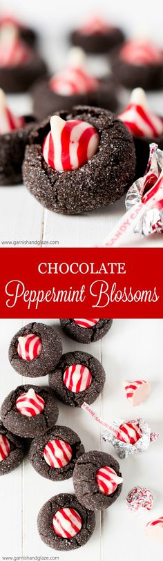 chocolate peppermint blossom cookies with candy canes