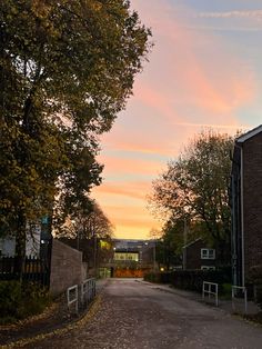 the sun is setting on an empty street with trees lining both sides and buildings in the background