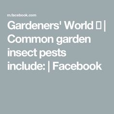 Gardeners' World 🌍 | Common garden insect pests include: | Facebook Squash Bugs, Cabbage Worms, Pest Prevention, Bird Netting, Garden Bugs, Garden Insects, Insect Pest, Organic Remedy, Types Of Vegetables