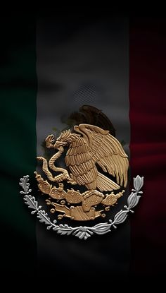 the flag of mexico is depicted in gold and silver on a black background with an eagle