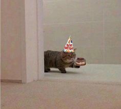 a cat with a birthday hat on is looking at a cupcake in the bathroom