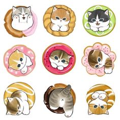 six cat magnets with different designs on them, each one has a sleeping cat in the middle