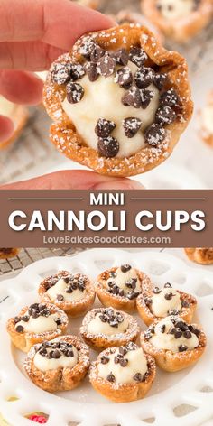 mini cannoli cups on a white plate with chocolate chips and cream in the middle