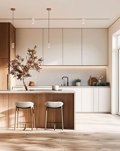 two stools in front of a kitchen island with plants on the counter and potted plant next to it