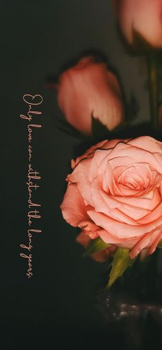 there is a pink rose that has been placed in a vase with the words, she will always be loved