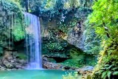 the waterfall is surrounded by lush green trees