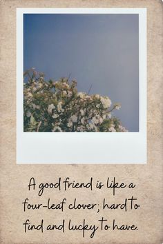 an old photo with the quote a good friend is like a four leaf clover, hard to find and lucky to have