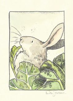 a drawing of a rabbit sitting in the middle of some leafy plants and looking at something