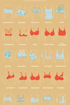 Type Chart, Best Bra, Beach Necessities, High Neck Bra, Coverage Bras, Convertible Bra