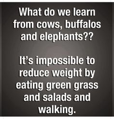 an image with the words what do we learn from cows, buffalos and elephants? it's impossible to reduce weight by eating green grass and salads and walking