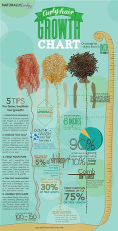 Natural Hair Growth Chart, Hair Growth Chart, Hair Growth Charts, Hair Inches, Curly Hair Growth, Hair Growth Tips, Natural Hair Tips, Natural Hair Journey, Growth Chart