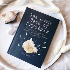 the little book of crystals sits on a plate