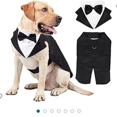 a dog wearing a tuxedo and bow tie