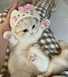 a cat that is laying down on someone's lap wearing a hello kitty hat