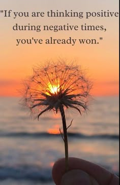 someone holding a dandelion in their hand with the sun setting over the ocean