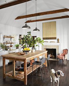 a dog standing in the middle of a room with a wooden table and two chairs