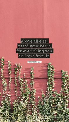 a pink wall with green plants and a quote above it that reads above all else, guard your heart, not everything you do flows from it